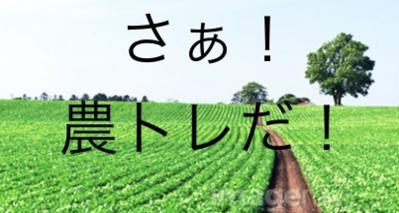 スタッフブログ：2025年01月19日 07:07の投稿「田中田の"20万ぶっ込んでみるとしたら"」