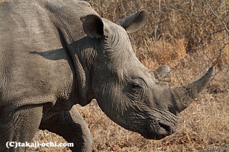 スタッフブログ:2025年11月21日 07:07の投稿「人々の想いから斬ったものを、、、」